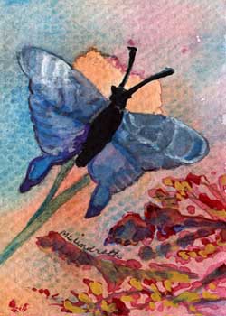 "Garden Butterfly" by Mary Lou Lindroth, Rockton IL - Watercolor & ink - SOLD